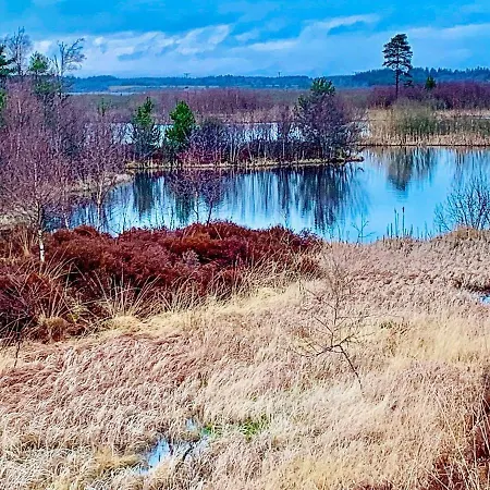 8 Person In Silkeborg-by Traum